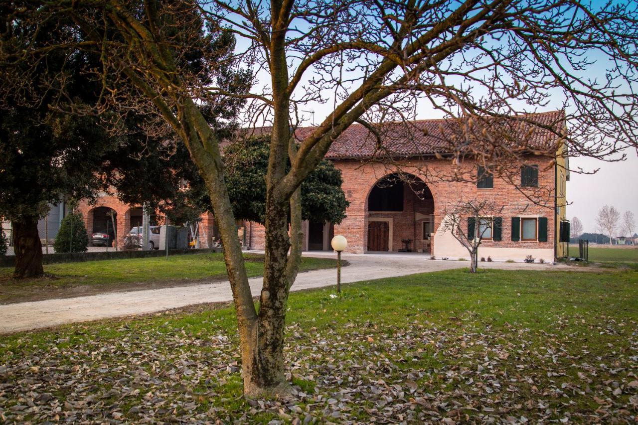 Casa Norma Piano Terra Villa San Martino di Lupari Exterior foto